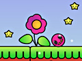 Xogo Pink Spot