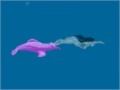 Xogo Seawitch