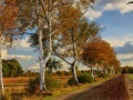 Xogo Russian Road
