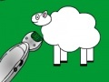 Xogo Shear The Sheep