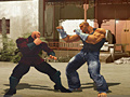 Xogo The Perfect Fighter