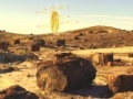 Xogo Treasure Hunt-Desert Forest