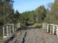 Xogo Diamond Bridge Escape