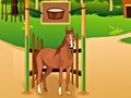 Xogo Horse Care Apprenticship