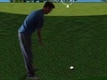 Xogo Flash Golf 3D