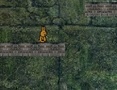 Xogo Bunny Adventure