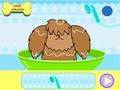 Xogo Dog Hairdresser