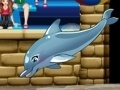 Xogo My dolphin show 6
