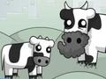 Xogo Cowlorful
