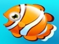 Xogo Fish Resort