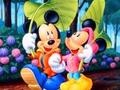 Xogo Mickey Love-HS