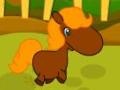 Xogo Pony Races