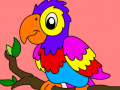 Xogo Kids Color Book 