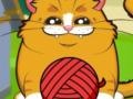 Xogo Playful Kitty