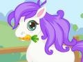 Xogo Cutie Pony Care