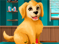 Xogo Become a Puppy Groomer