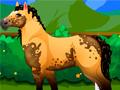 Xogo Pony Dress Up