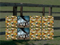 Xogo Horse Memo Deluxe
