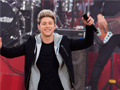 Xogo Niall Horan: Spot The Differences