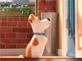 Xogo Hidden Letters in The Secret Life of Pets