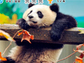 Xogo Animal Habitats: Find Items