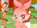 Xogo Cute Bunny