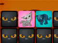 Xogo Big Cats: Memo Deluxe