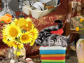 Xogo Crazy Cat Lady