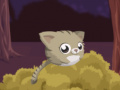 Xogo Jump Kitty