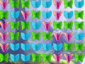Xogo Butterfly Collector