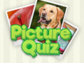 Xogo 100 Pics