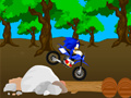 Xogo Cross Sonic Race 