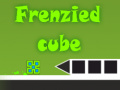 Xogo Frenzied Cube