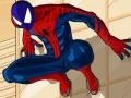 Xogo Spiderman Costume
