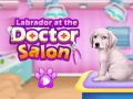 Xogo Labrador at the doctor salon    