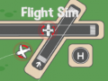 Xogo Flight Sim