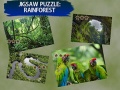 Xogo Jigsaw Puzzle Rain Forest 