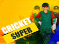 Xogo Super Cricket      