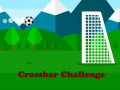 Xogo Crossbar Challenge