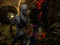 Xogo City of Fear