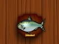 Xogo Amateur Action Super Fishing