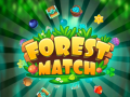 Xogo Forest Match
