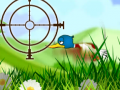 Xogo Quack Hunt