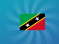 Xogo Guess The Flag