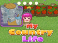 Xogo My County Life