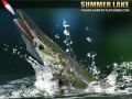 Xogo Summer Lake