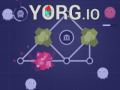 Xogo Yorg.io