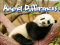 Xogo Animal Differences 