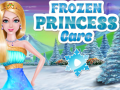 Xogo Frozen Princess Care
