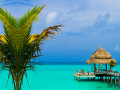 Xogo Tropical Paradise